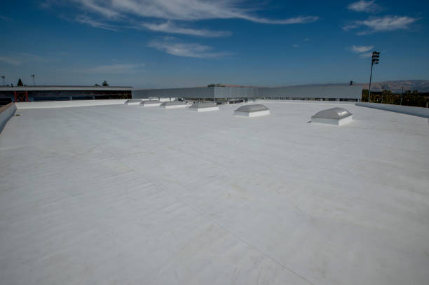 Cold Roofs in Trowbridge Park, MI