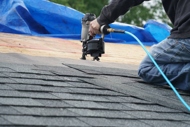 Professional Roofing Service in Trowbridge Park, MI